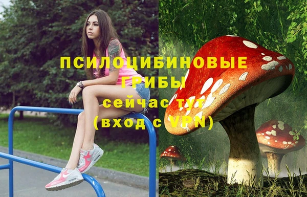 прущий лед Коряжма