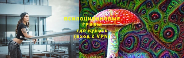 PSILOCYBIN Баксан