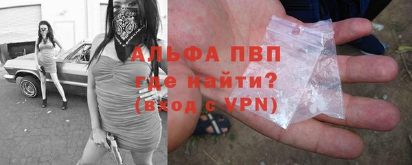 сатива Корсаков